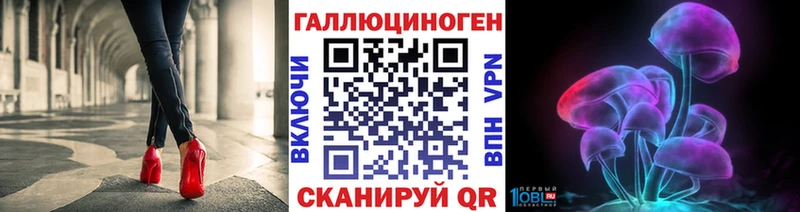 Псилоцибиновые грибы Psilocybine cubensis  Купить где  Циолковский 